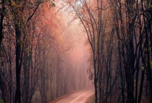 lol季中赛-日本乒乓球队逆转奥地利乒乓球队，奥恰洛夫惊艳世界