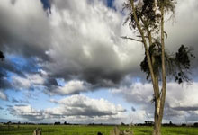 lol官网-DRX2轻取NS,BDD统治全场:电竞传奇的再次绽放