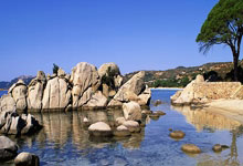 lol官网-DRX2轻取NS,BDD统治全场:电竞传奇的再次绽放