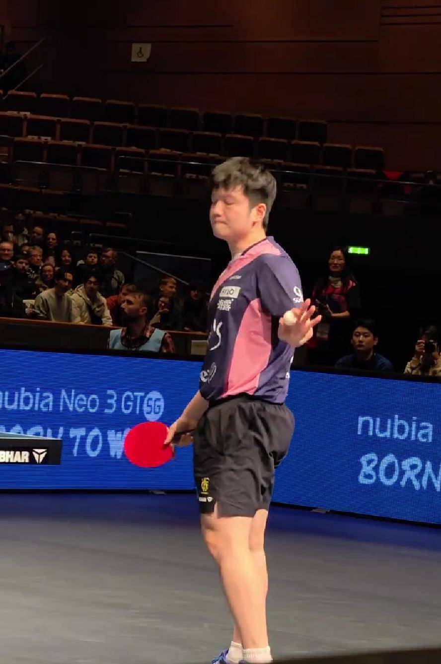 瑞典队完胜波兰队，樊振东扛起全队